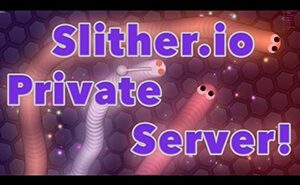 Play in Slither.io Private Server slither.io private server