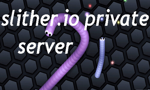 slither.io private server