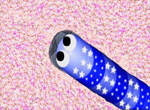 slither.io unblocked